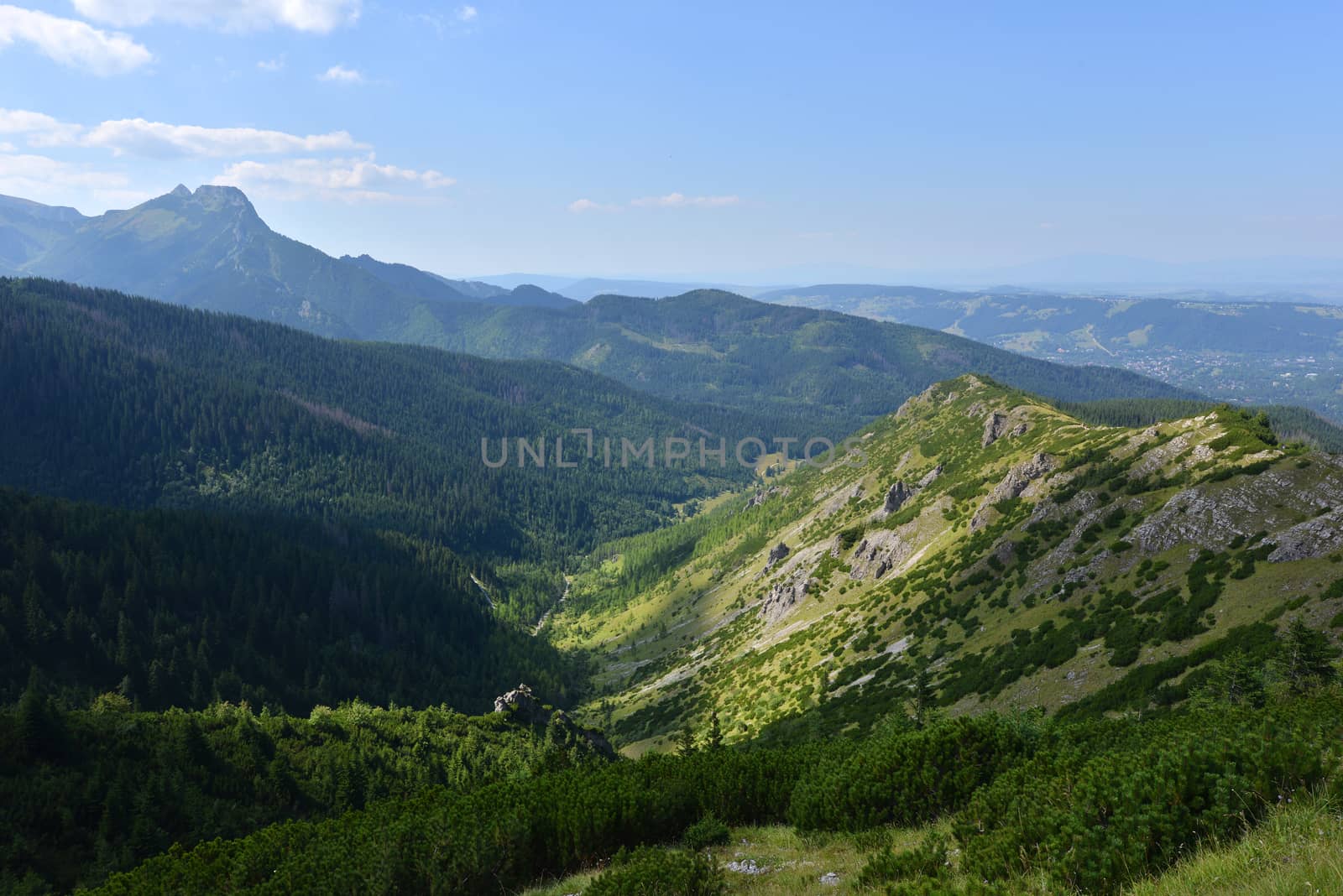 Summer landscape of polish Tatry mountains