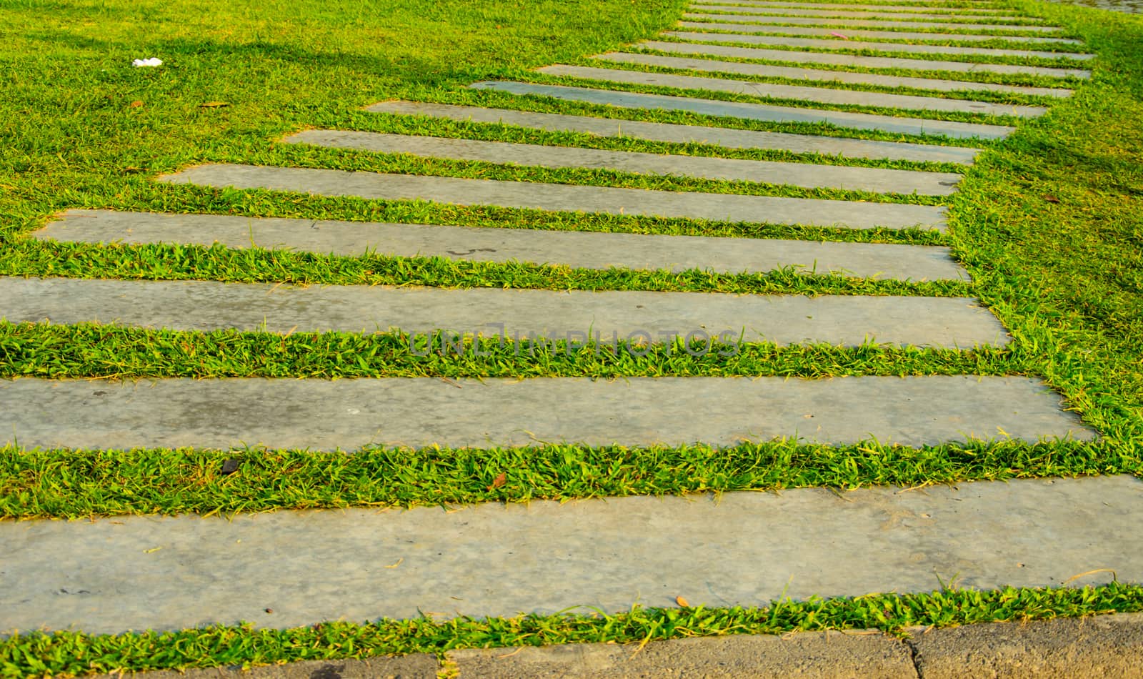 The Pathway in green grass the garden.