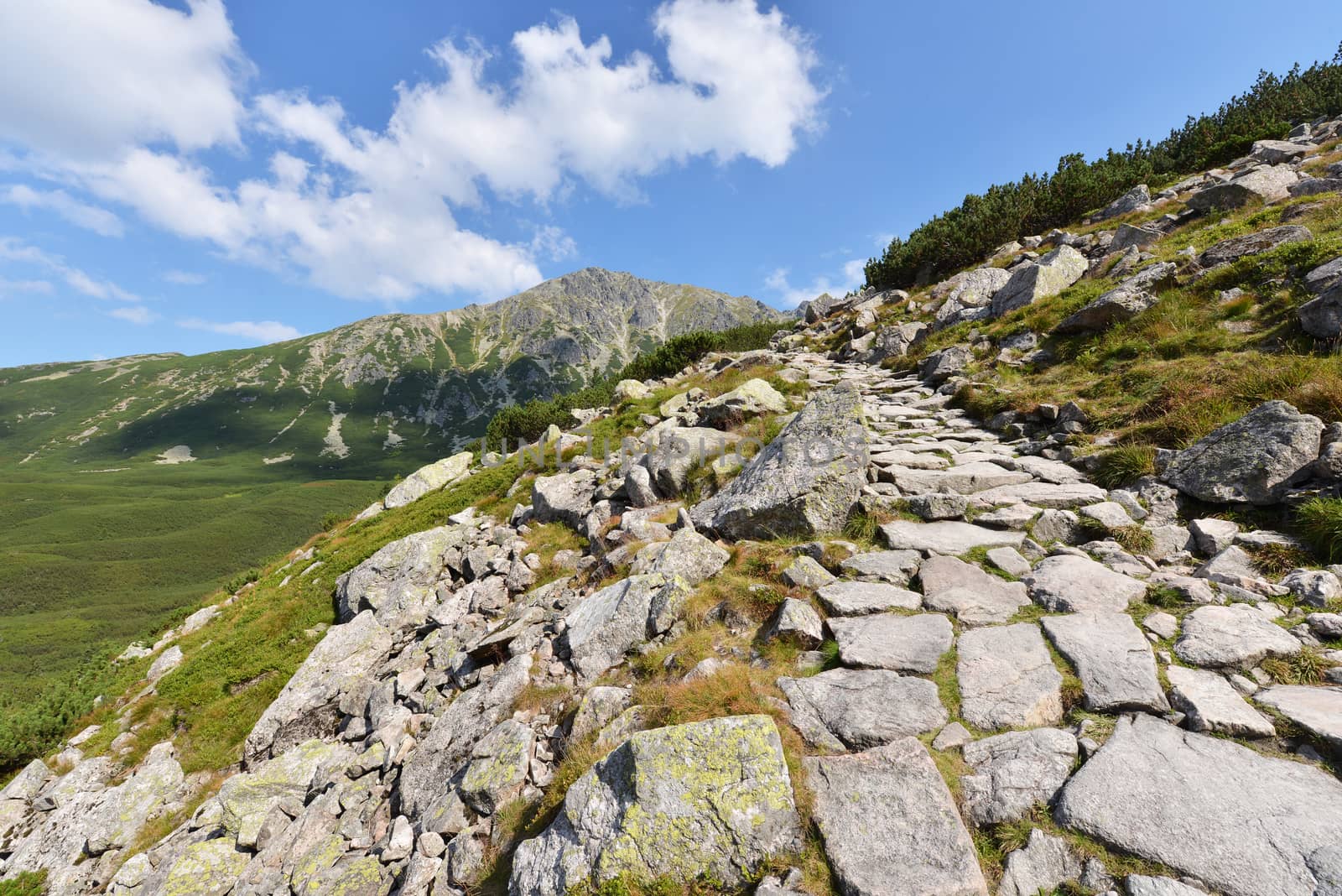 Summer landscape of polish Tatry mountains
