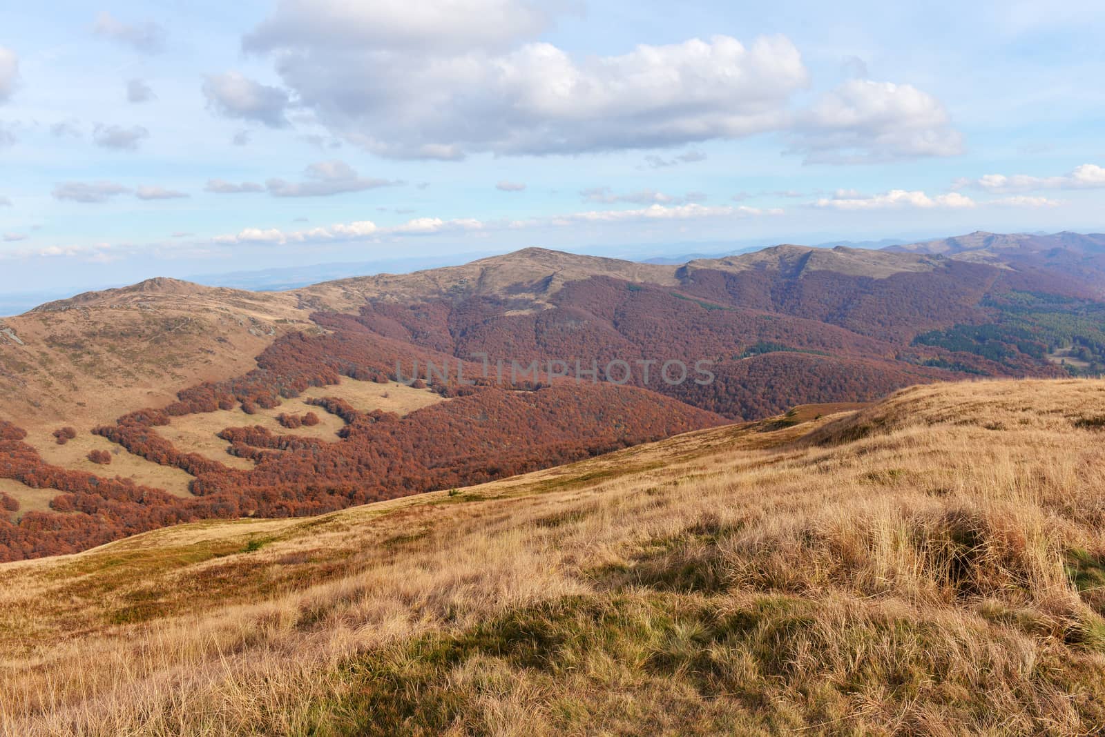 Bieszczady mountains in late autumn - Poland