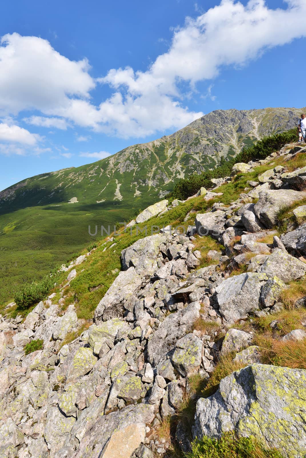 Summer landscape of polish Tatry mountains