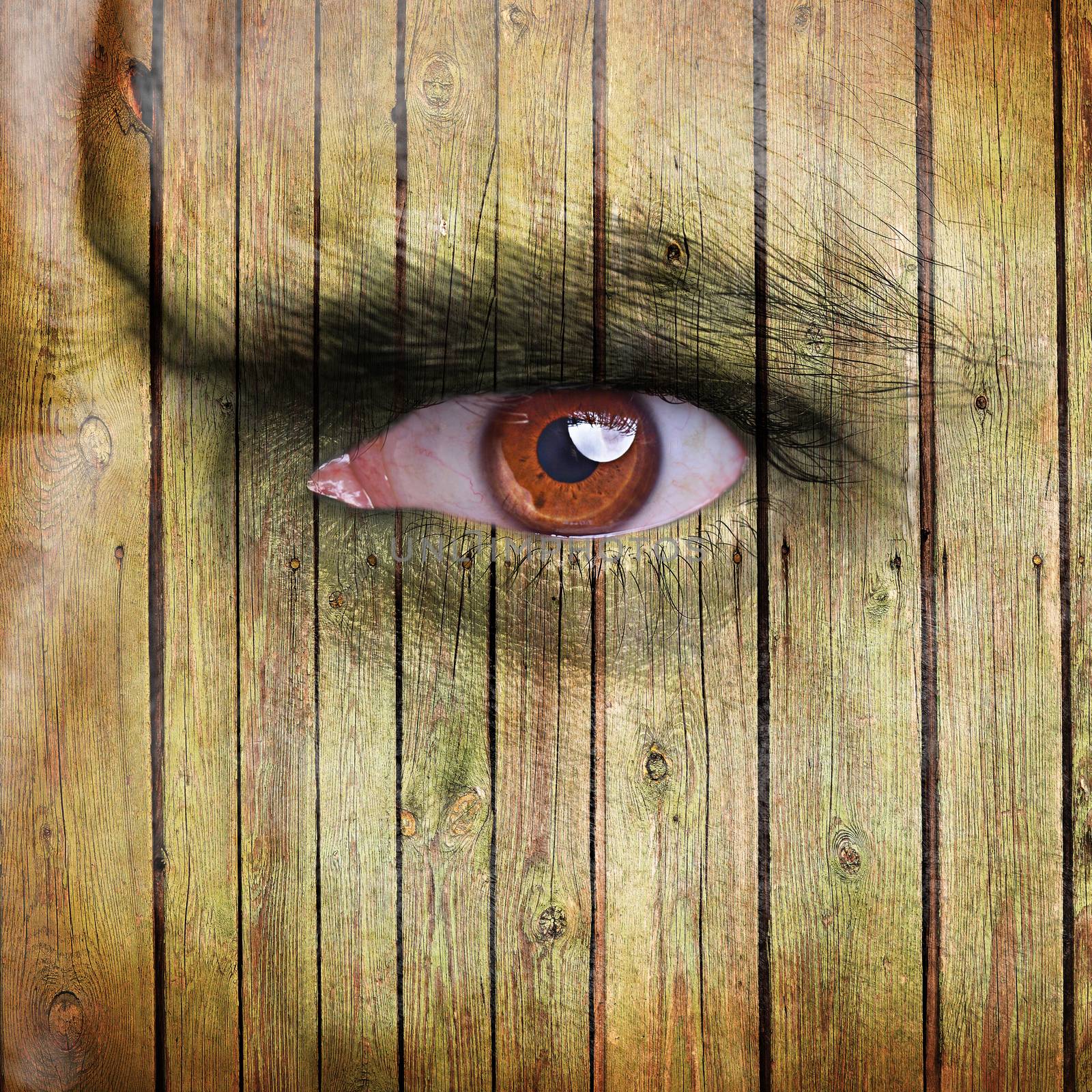 Angry man face covered with wooden texture