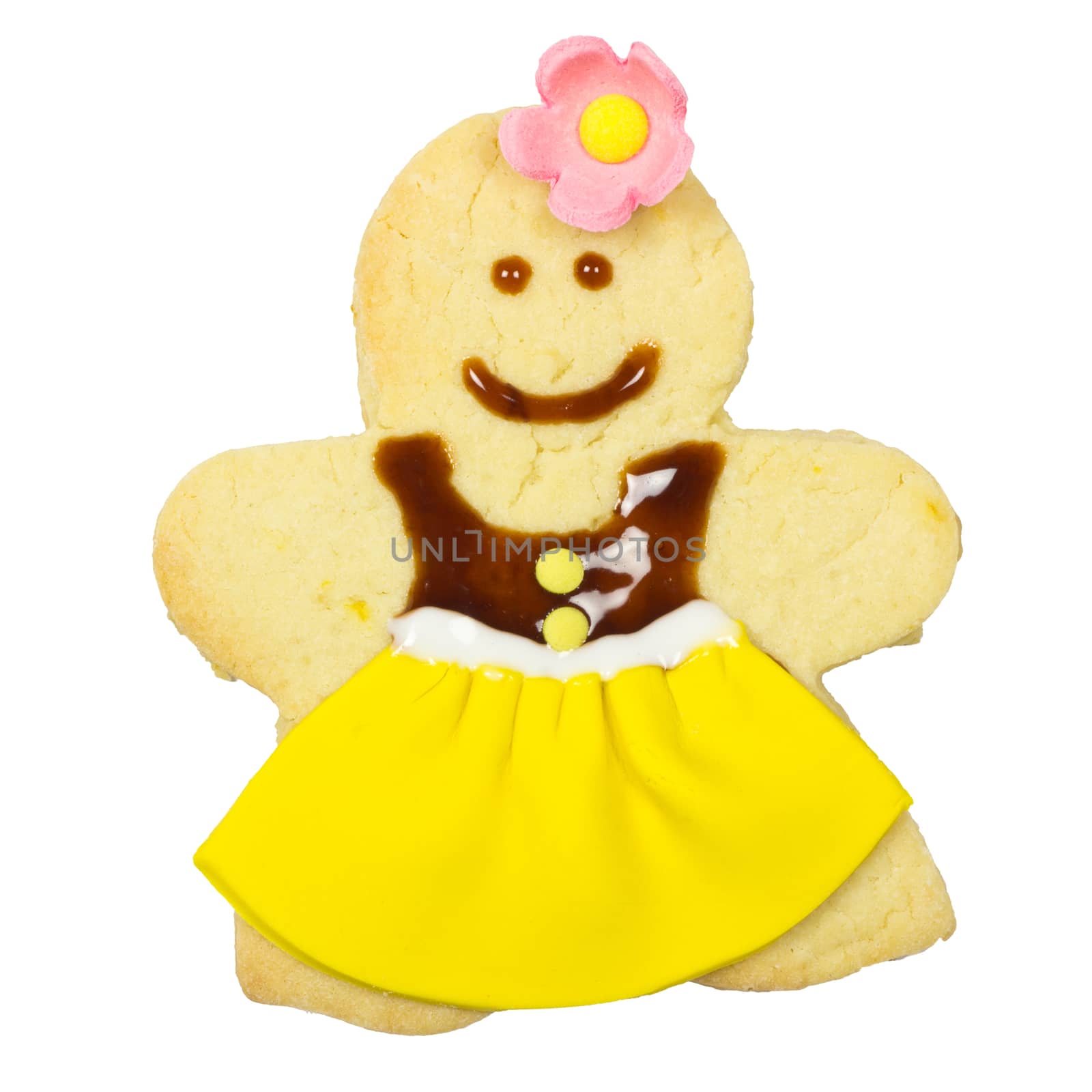 Gingerbread lady isolated  by wyoosumran