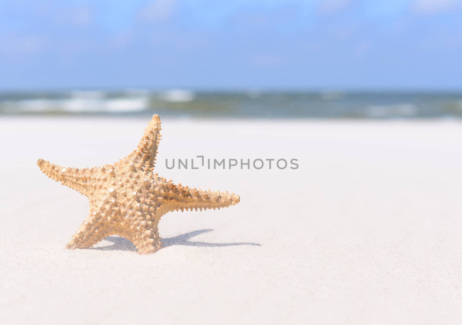Summer background. Starfish on sand and blue sky.