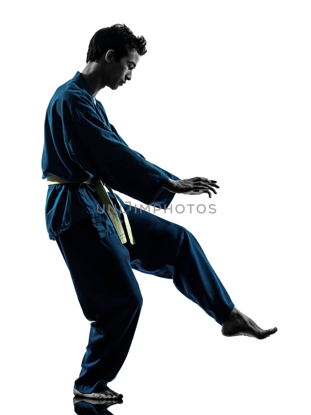 one asian young man exercising martial arts karate vietvodao in silhouette studio isolated on white background