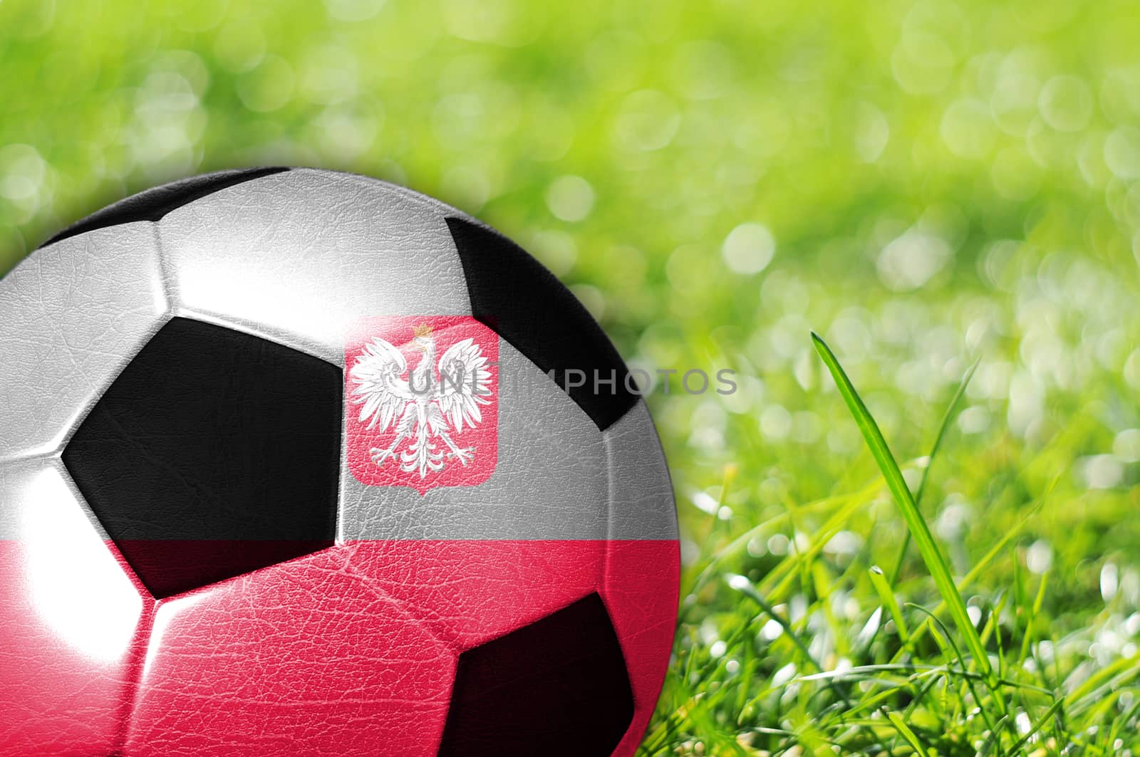 Soccer ball on grass with flag of Poland painted on it