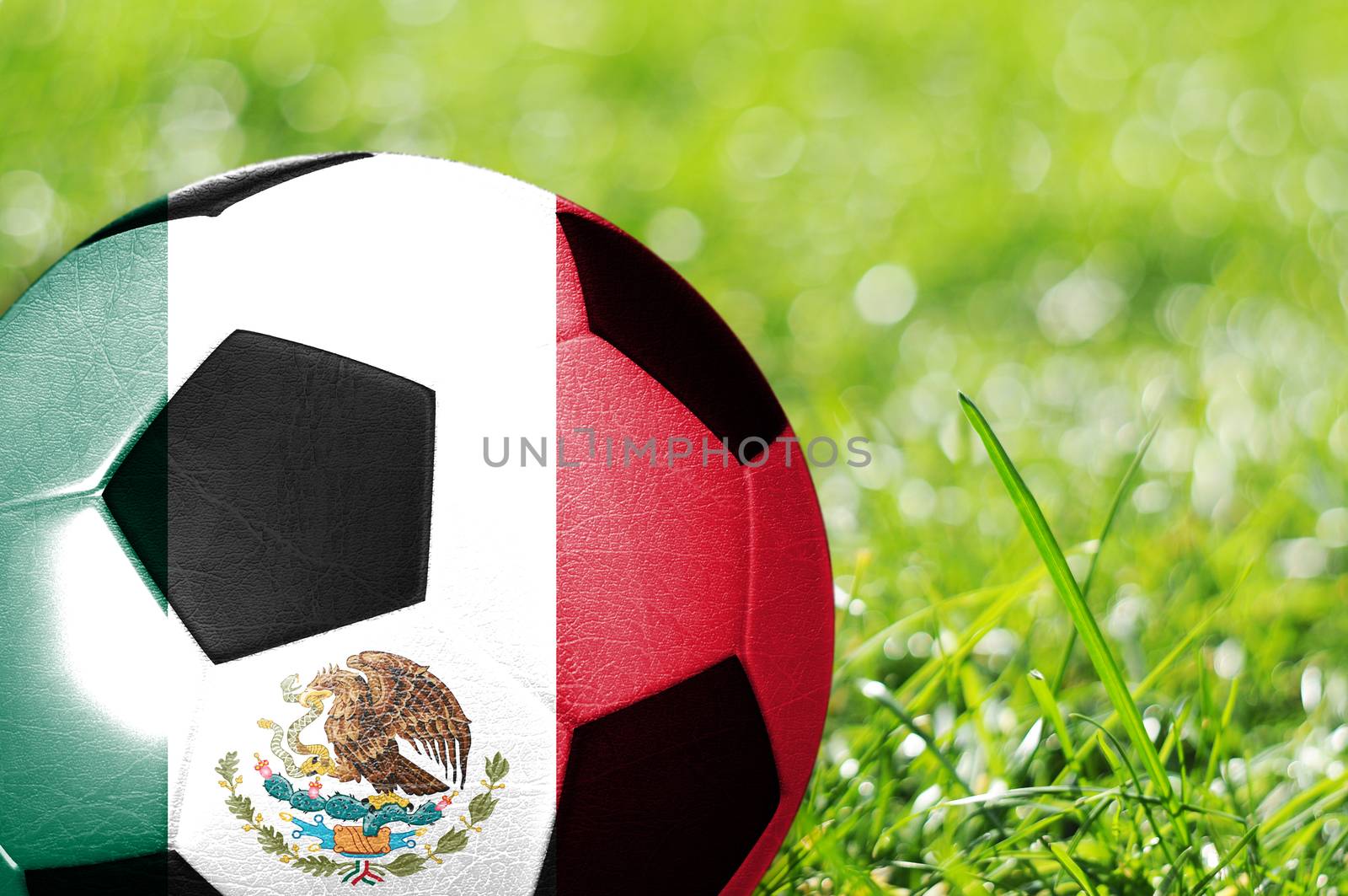 Soccer ball on grass with flag of Mexico painted on it