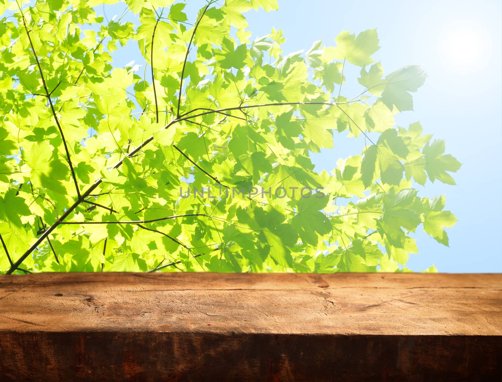 empty wooden table and fresh green leaves - background for product display montages