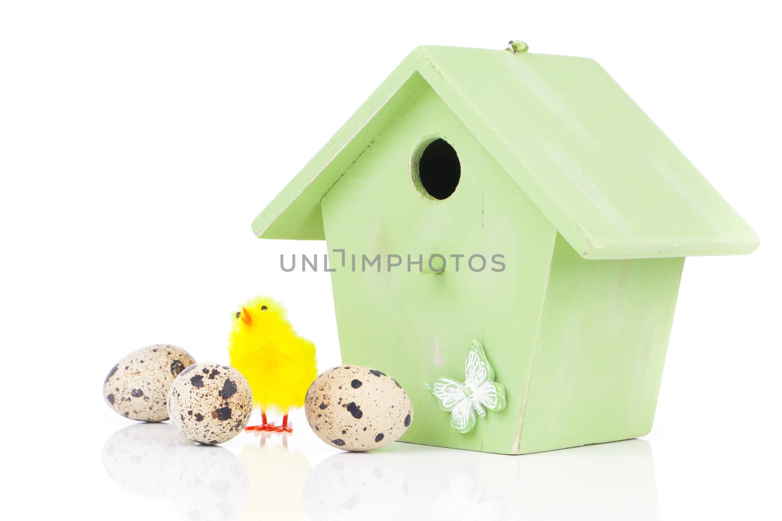 quail eggs with birdhouse, on a white background