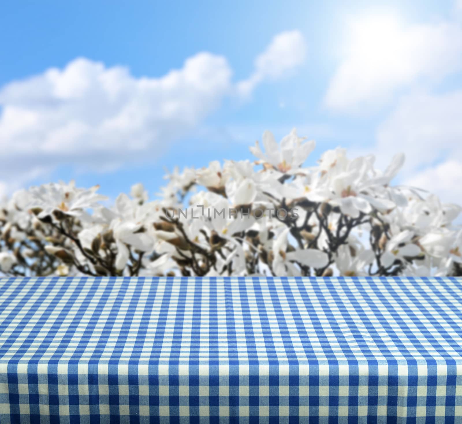 empty table for product display montages - spring theme