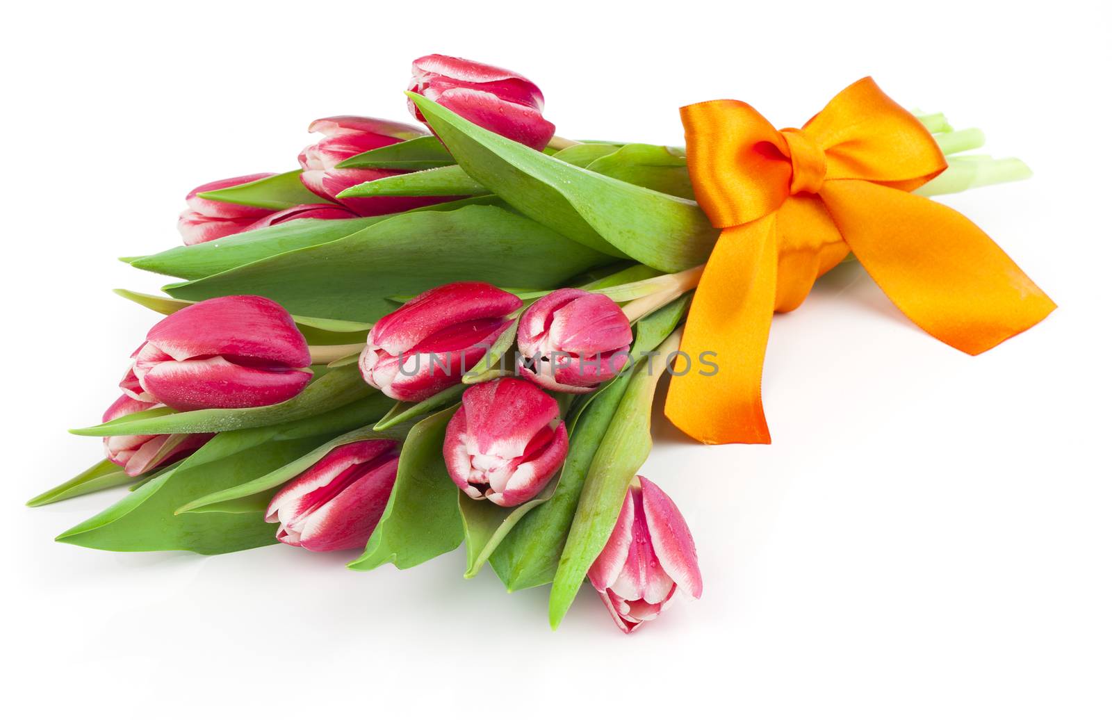 bouquet of beautiful tulips with bow-knot. March 8, valentine's day, mother's day