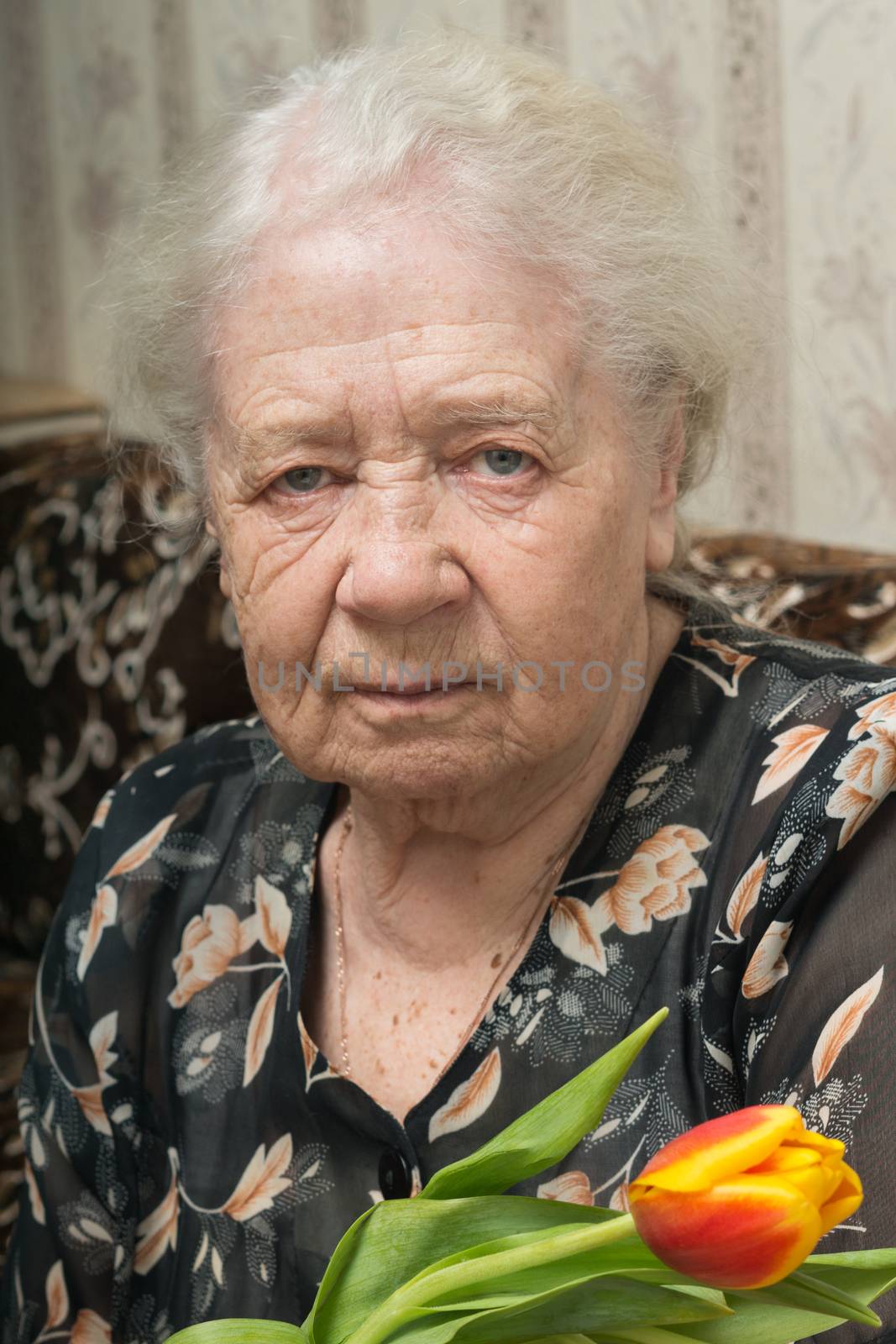 Senior woman portrait of a 88 year old lady 
