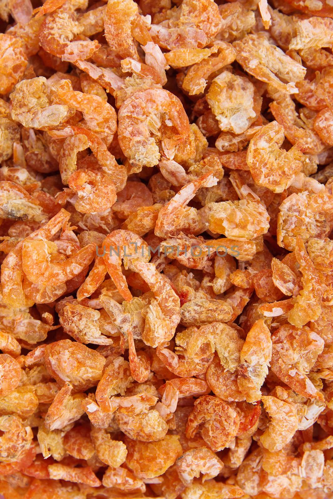 dried shrimp closeup by ponsulak