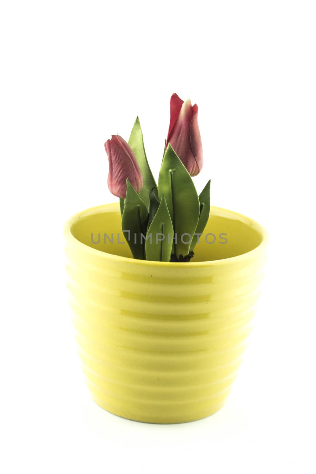 pottery flowerpot on white background.