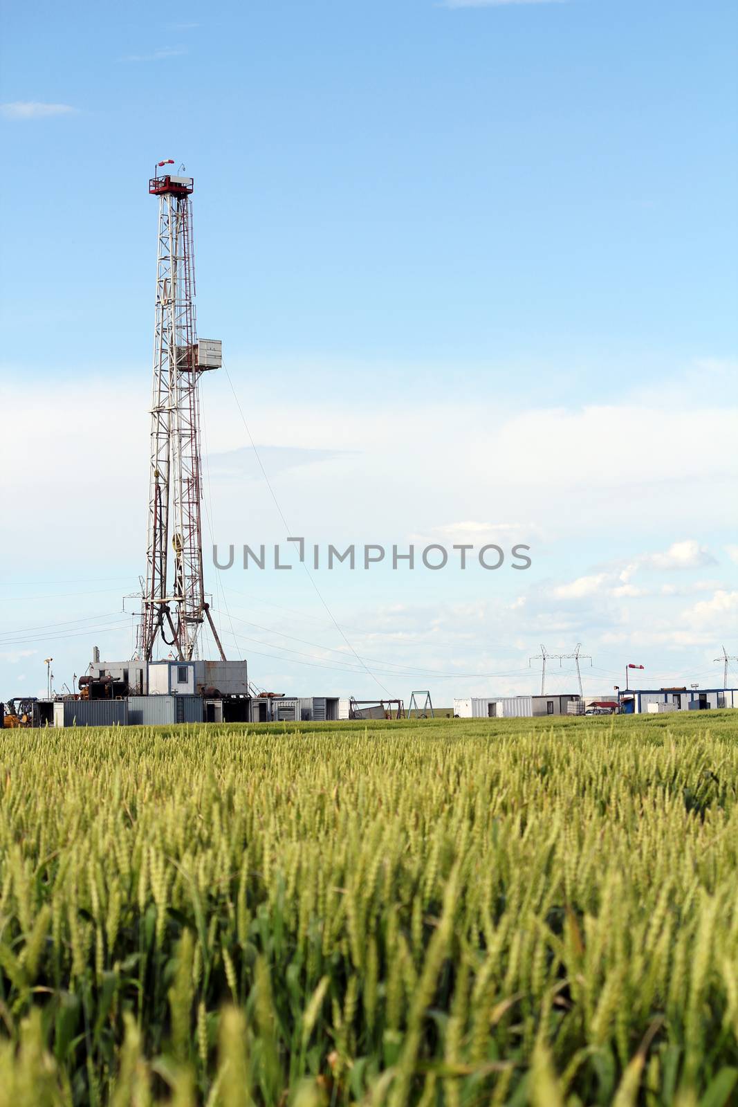 oil drilling rig on green wheat field by goce