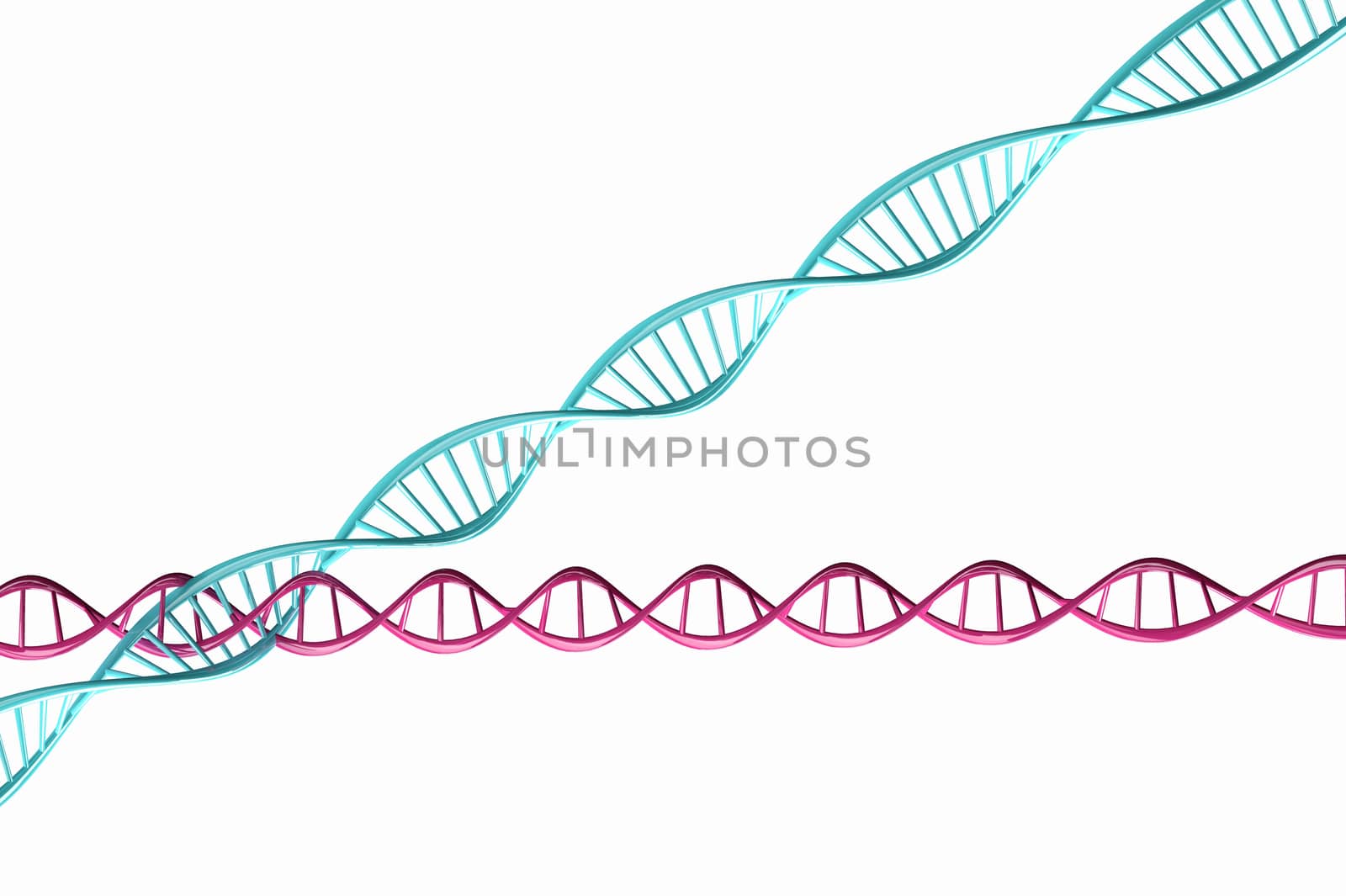 3d render ,Model of twisted DNA chain isolated. by ngungfoto