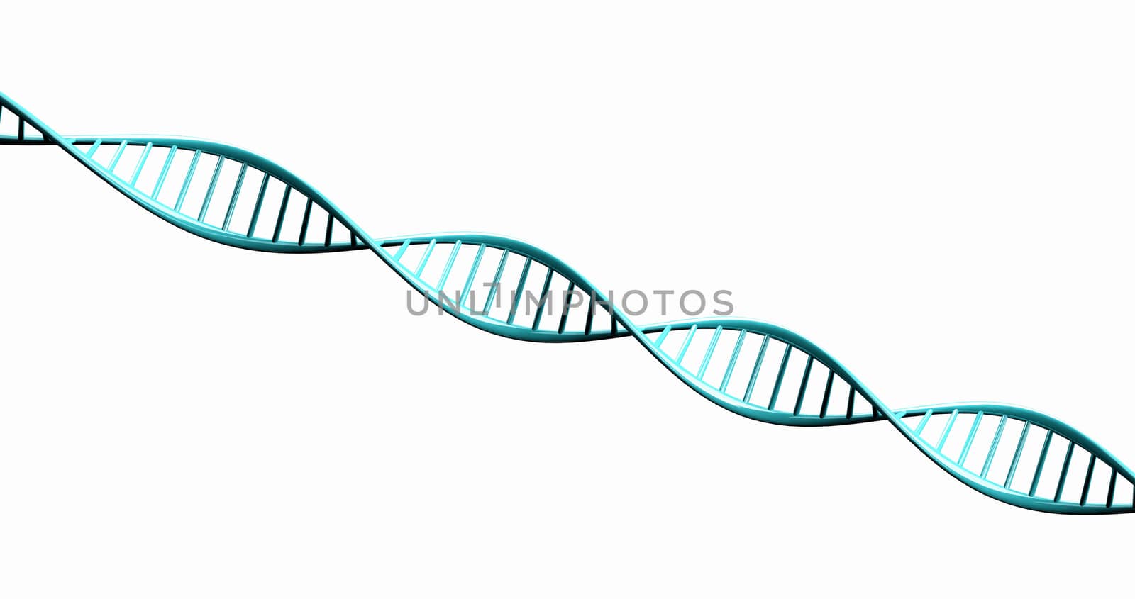 Isolated 3d render model of twisted DNA chain. by ngungfoto