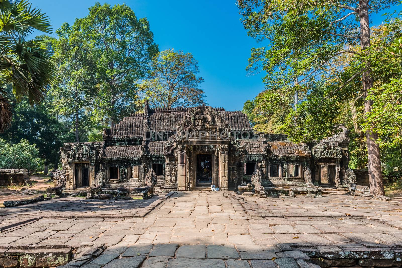 ta prohm angkor wat cambodia