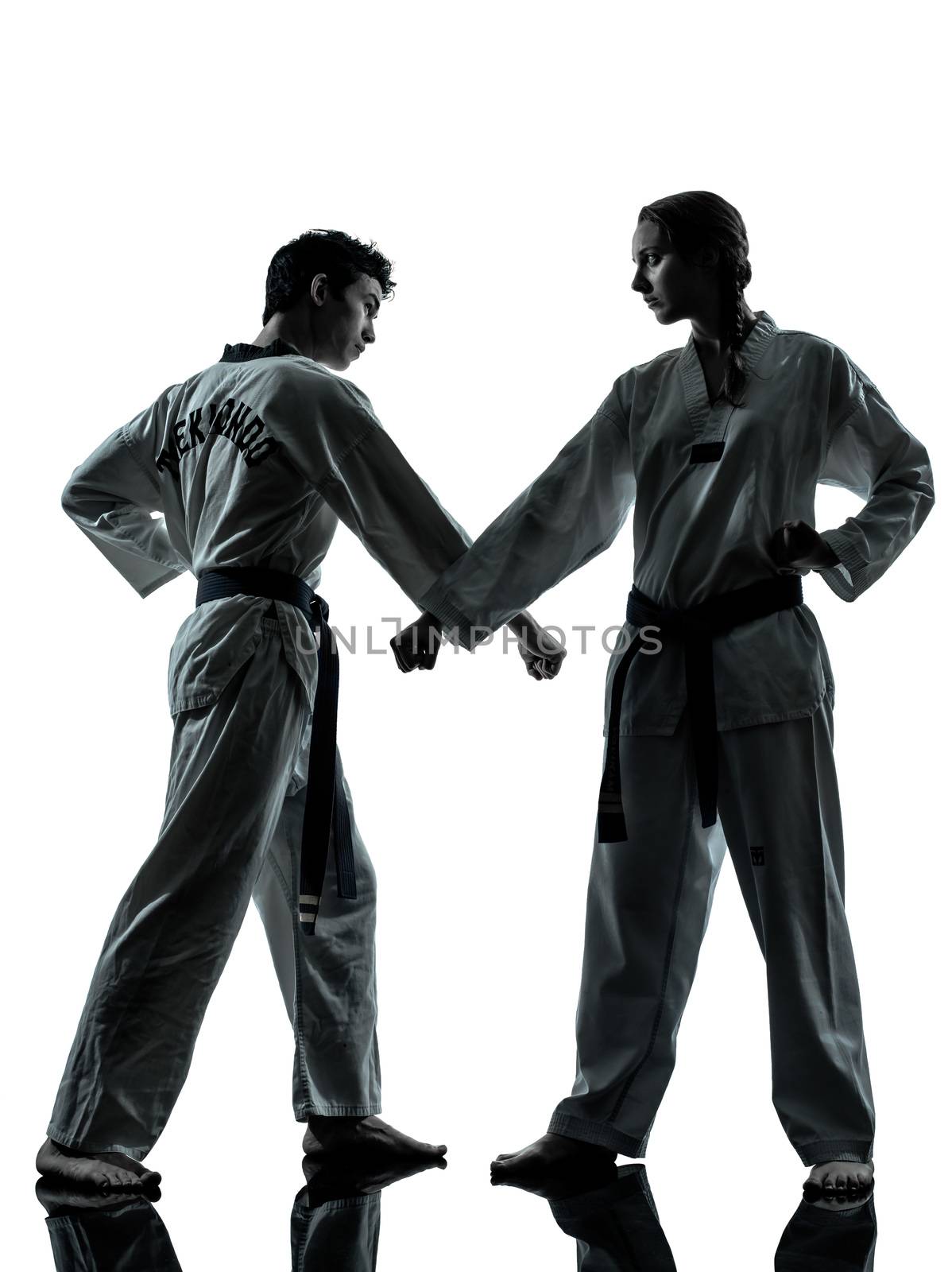 karate taekwondo martial arts man woman couple silhouette by PIXSTILL
