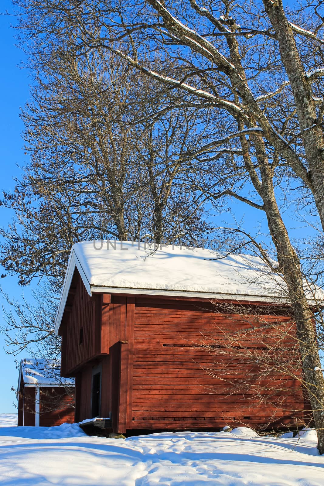 Old red log cabins in the winter