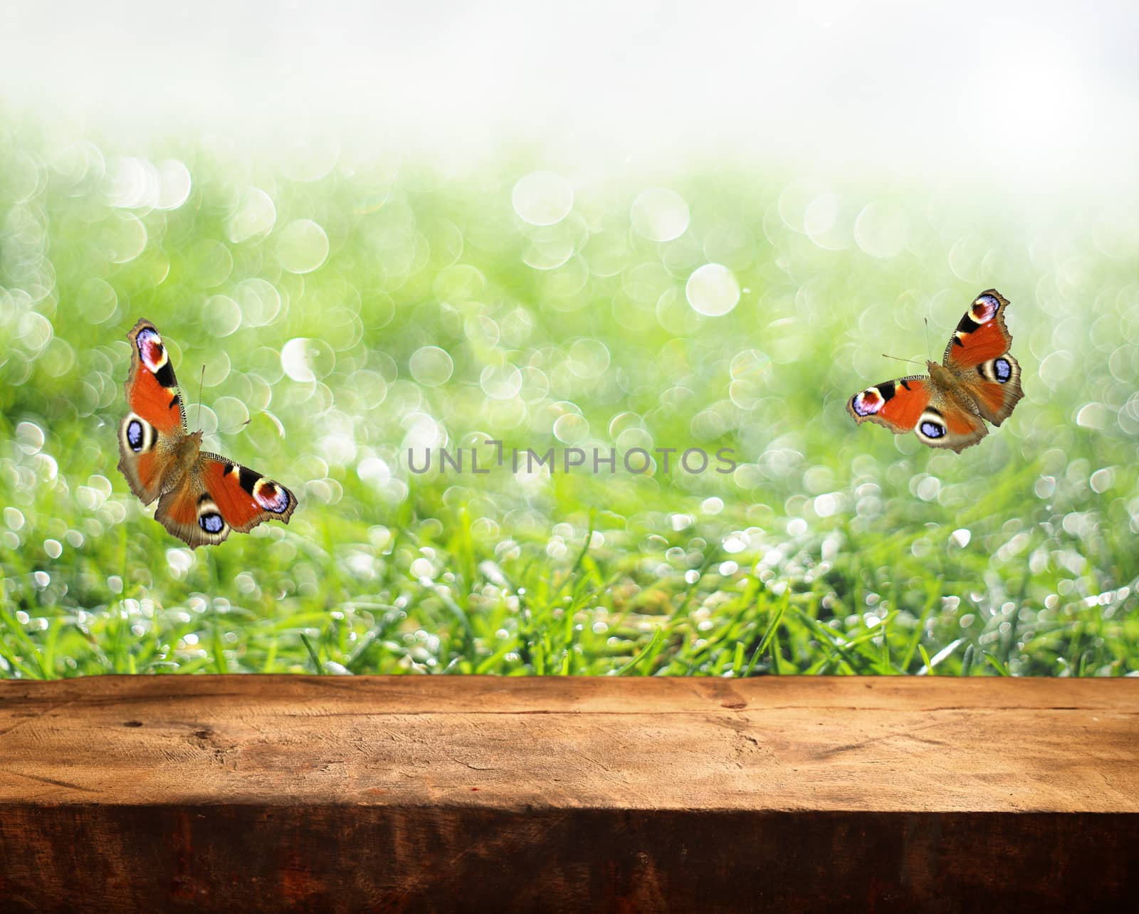 empty table and fresh green grass in background
