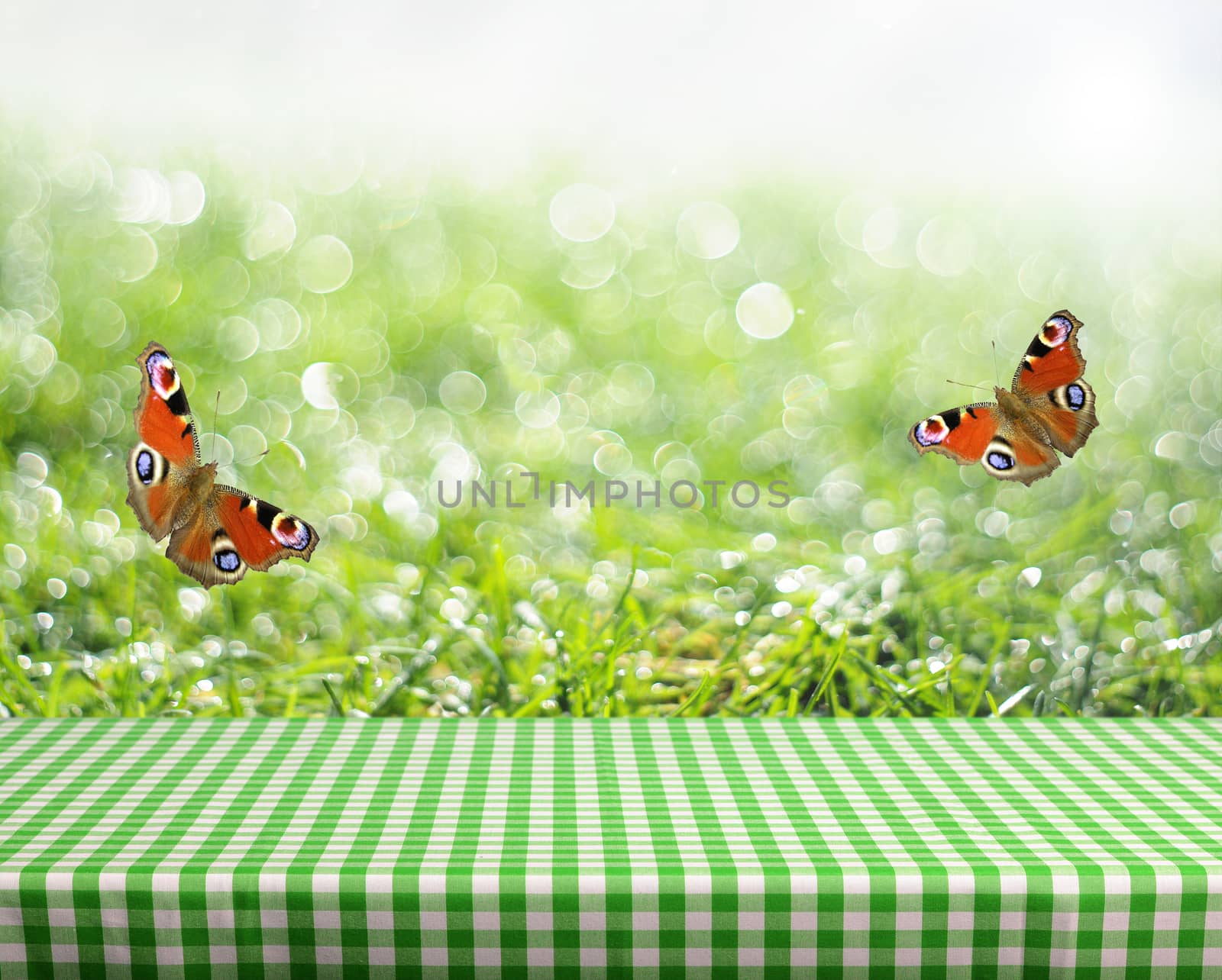empty table and fresh green grass in background