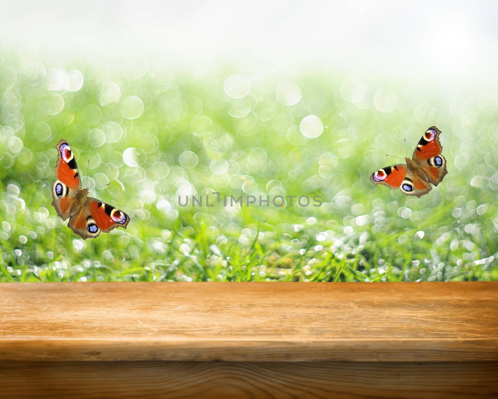 empty table and fresh green grass in background