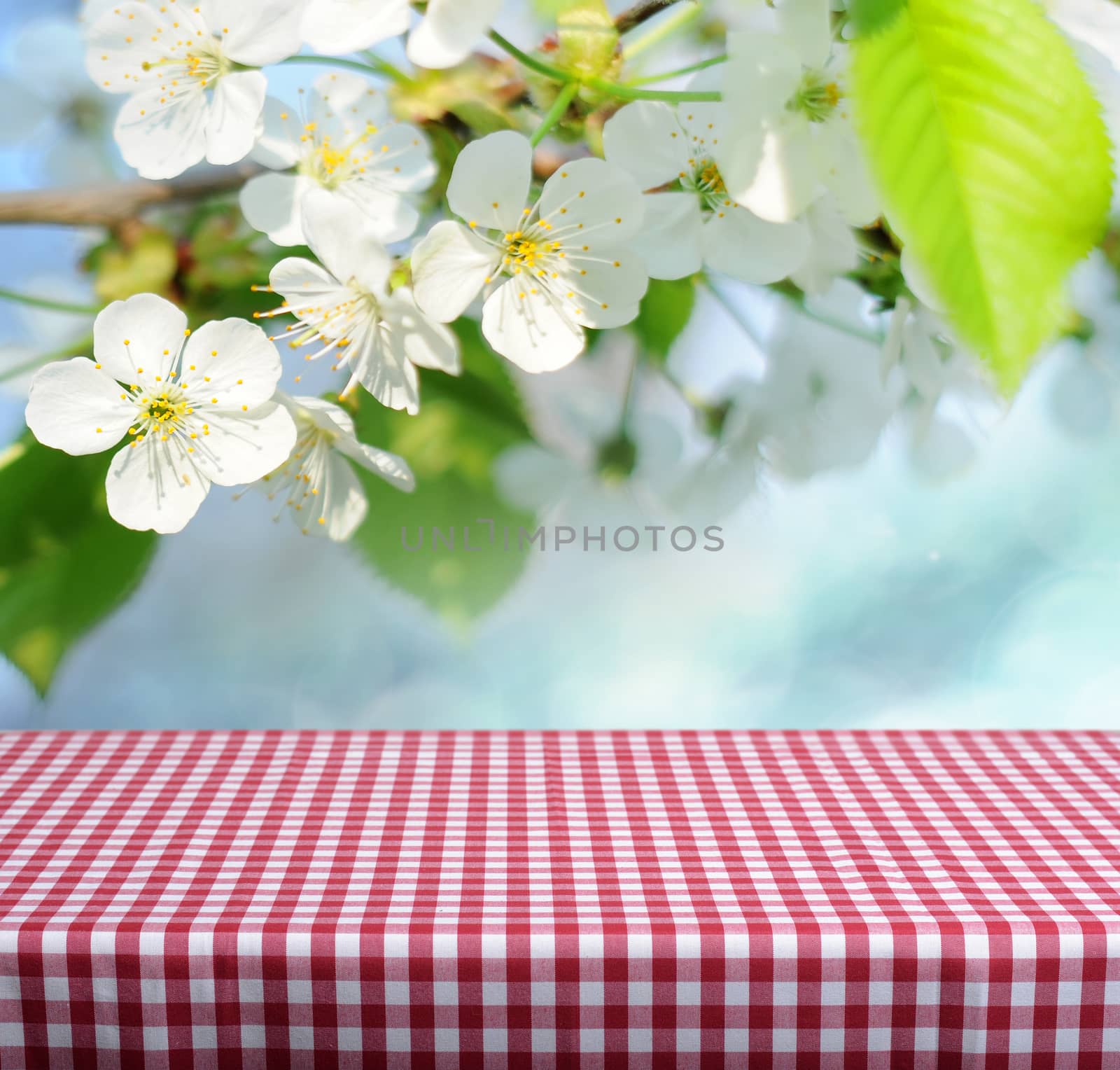 Spring gingham table for product display montages