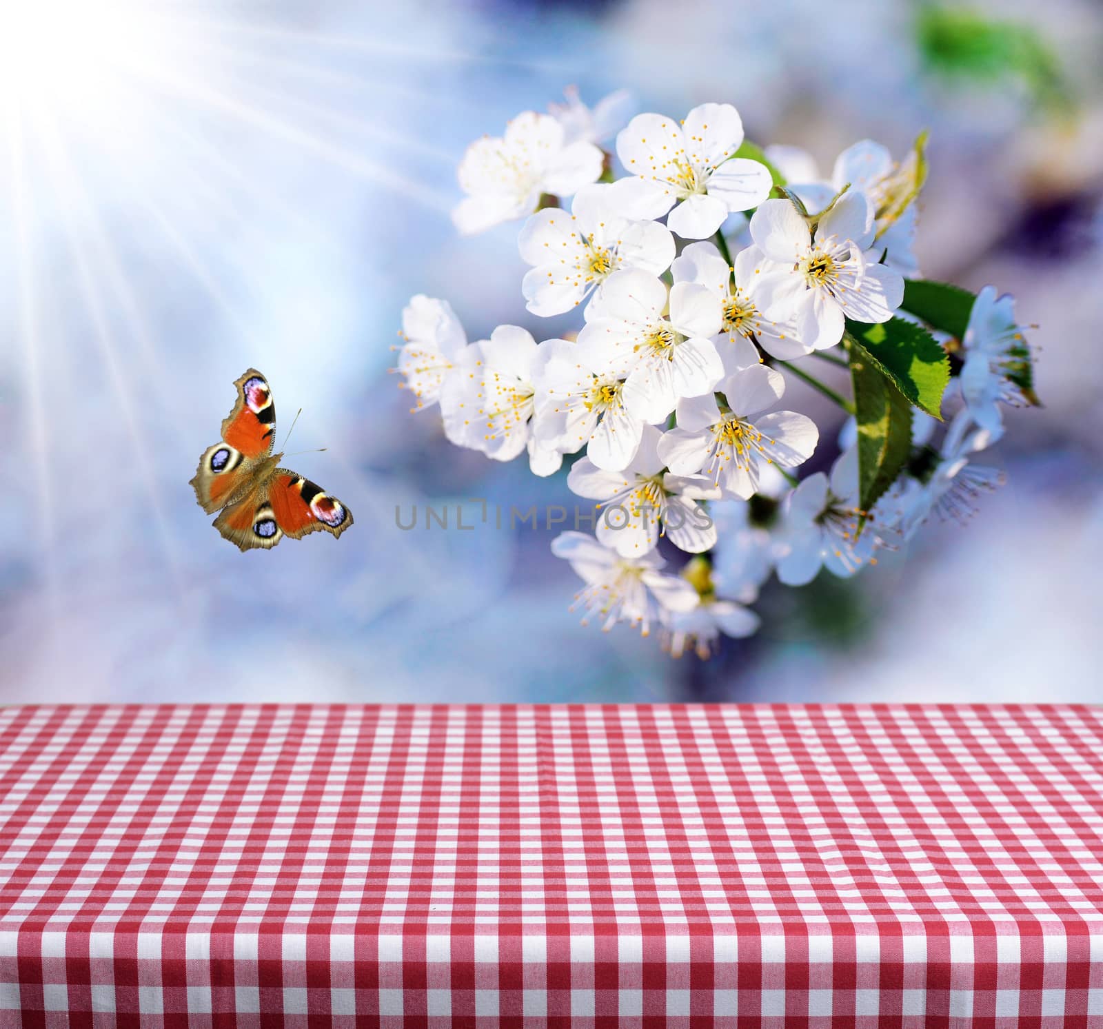 empty table and fresh spring flowers in background