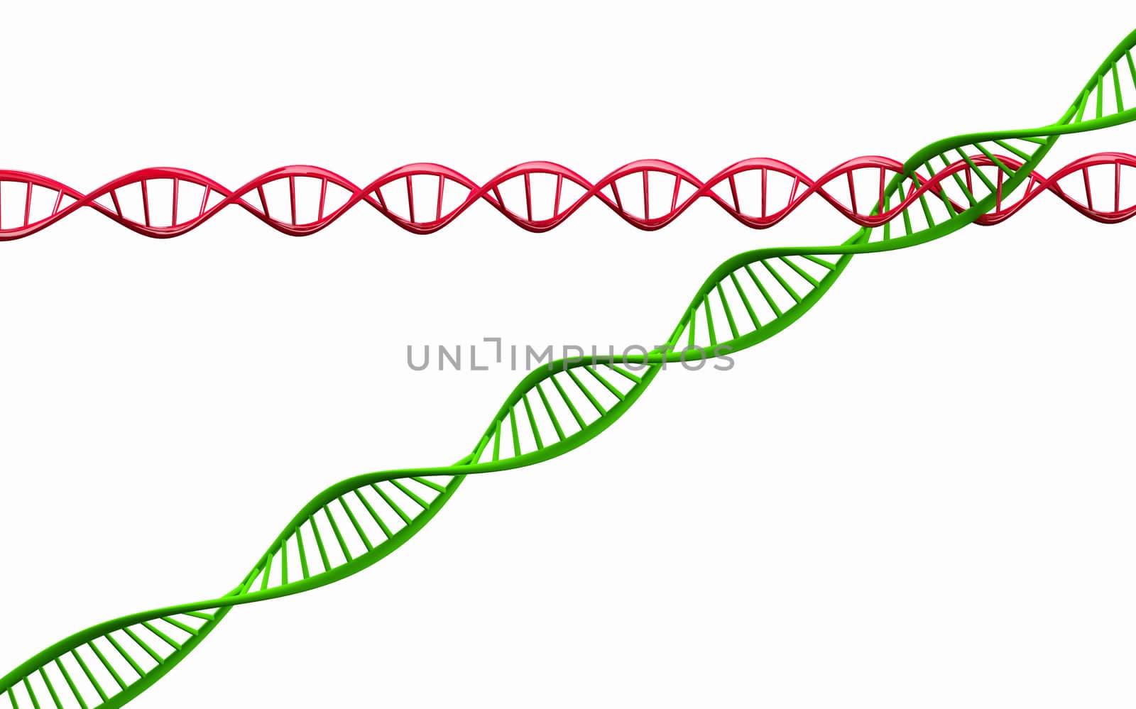 3d render ,Model of twisted DNA chain isolated on white backgrou by ngungfoto