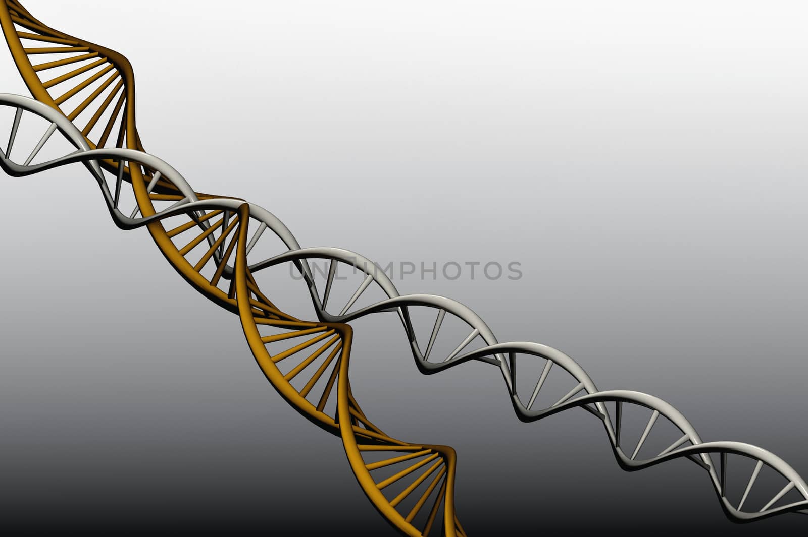 Model 3 D of twisted DNA. by ngungfoto