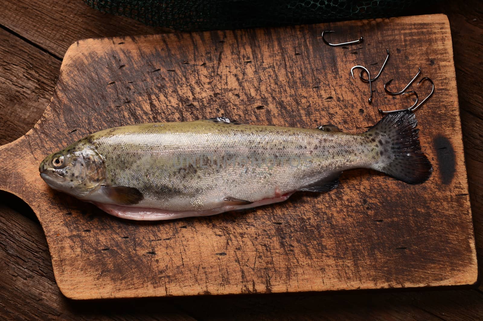 Fresh trouts on wooden background