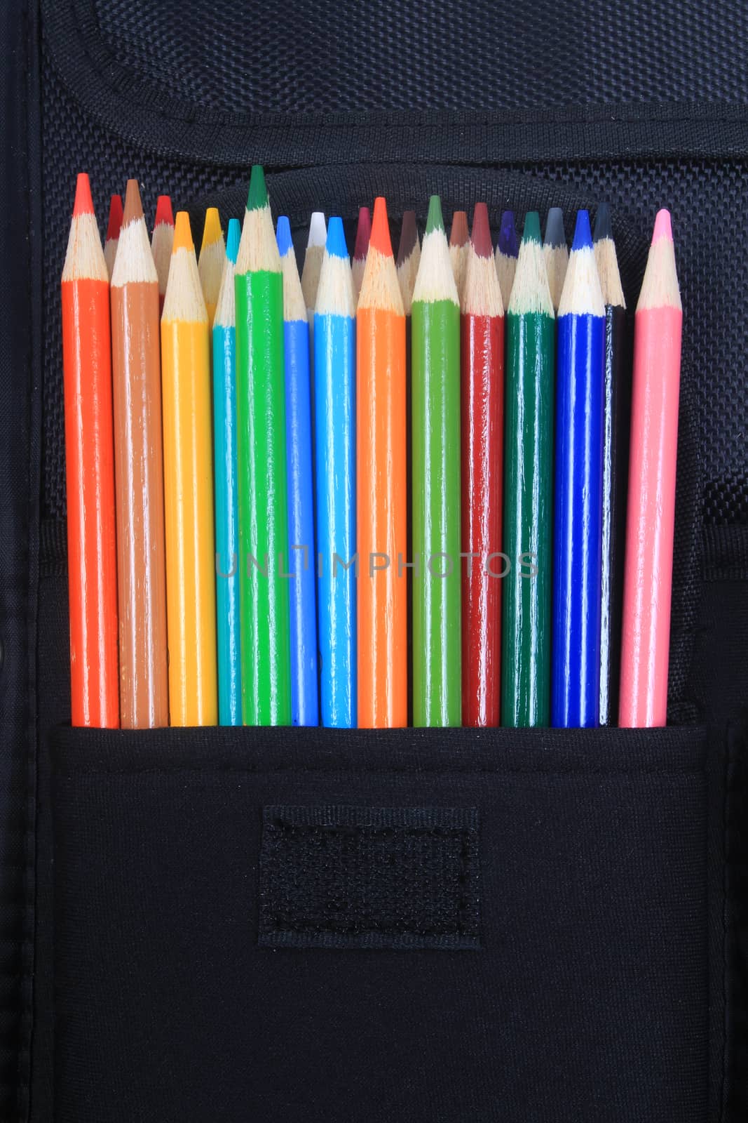 Colorful sharpened  pencil crayons for school in three ring binder pocket