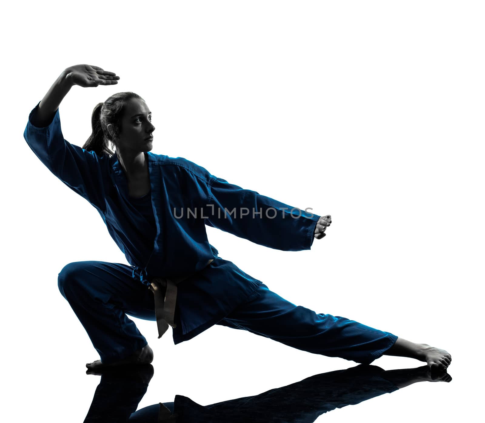 one caucasian woman exercising karate vietvodao martial arts in silhouette studio isolated on white background