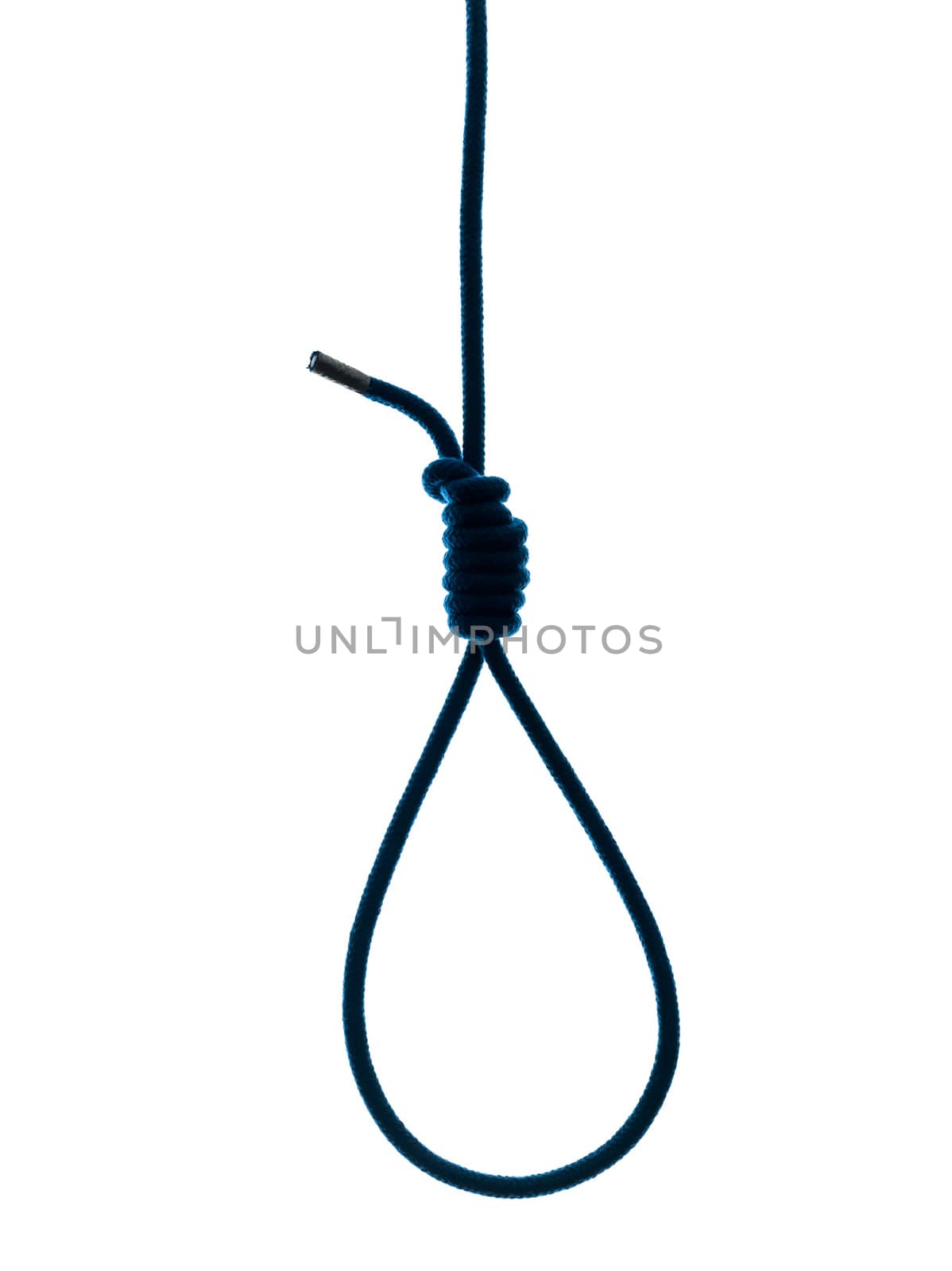 one hangman noose silhouette in silhouette studio isolated on white background