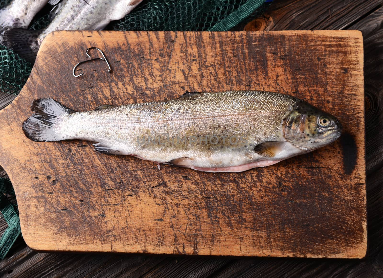 Fresh trouts on wooden background