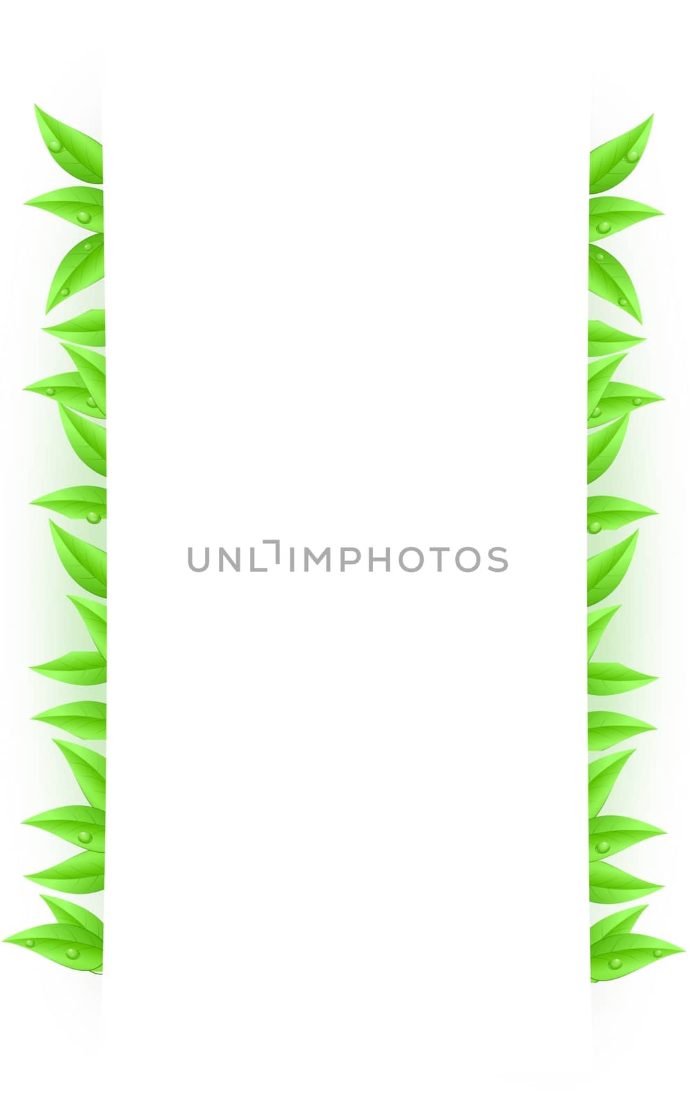 Green background with leaves as design element of page with space text isolated on a white background