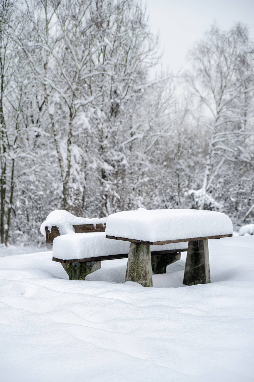 Service area with snowy bench and table