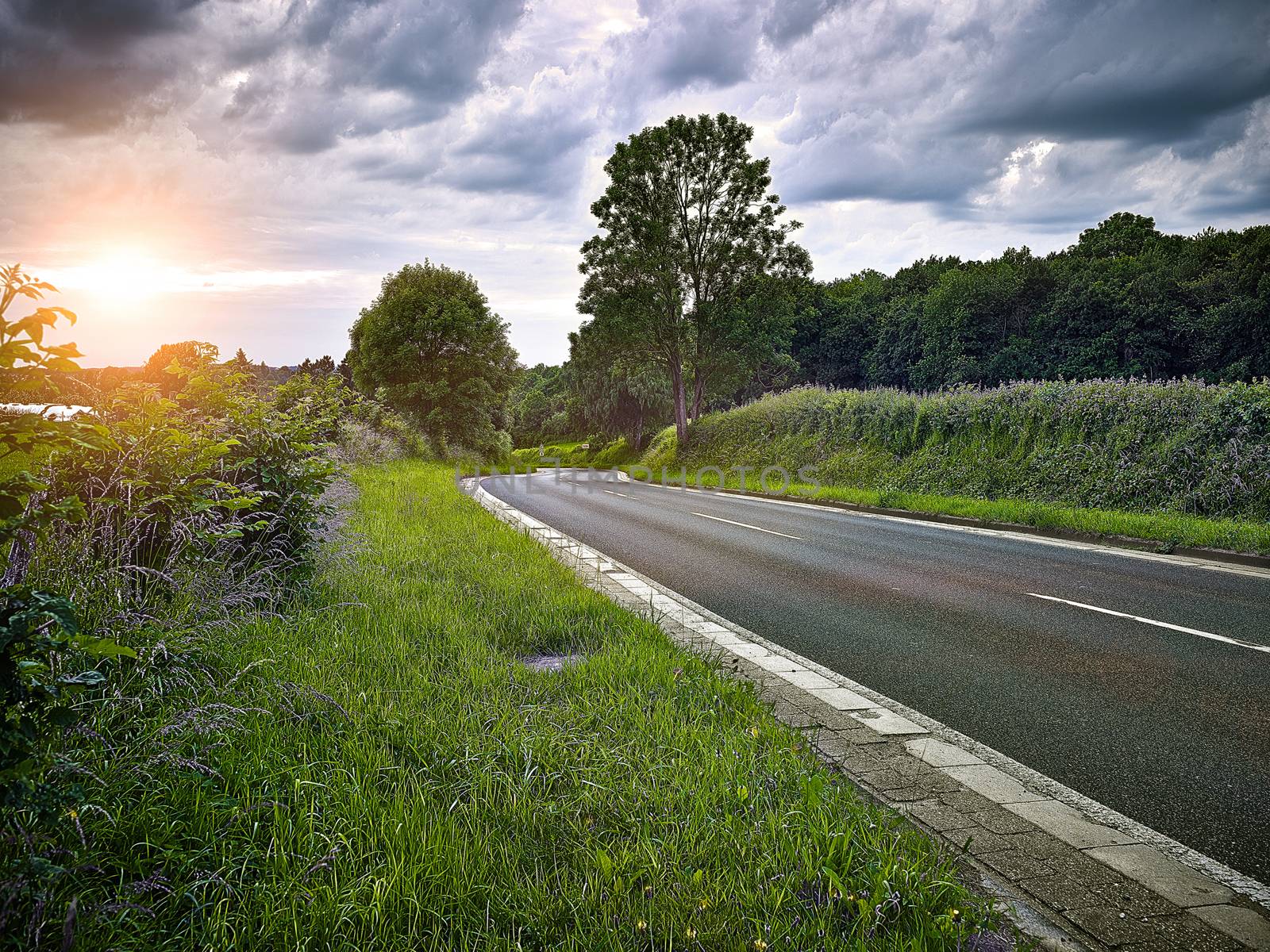 country road at sunset, cloudy backlite shot. peferct for car copy space