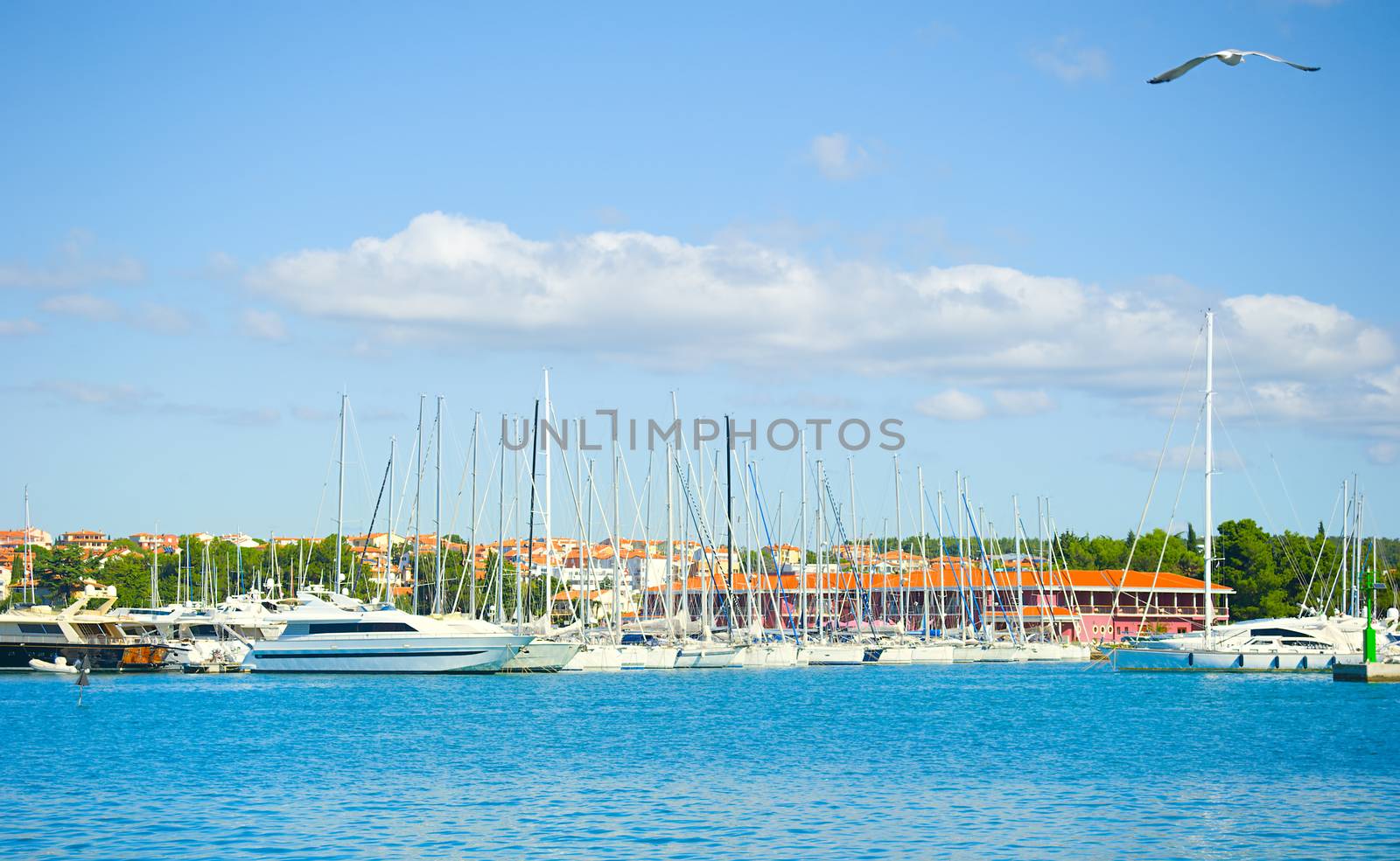 Beautiful view on yachts in Novigrad port, Croatia