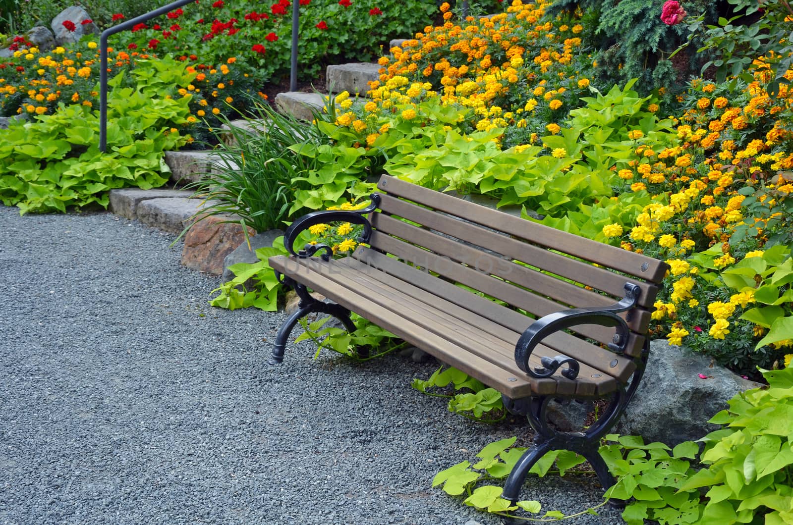 Wooden garden bench in colorful botanical summer garden