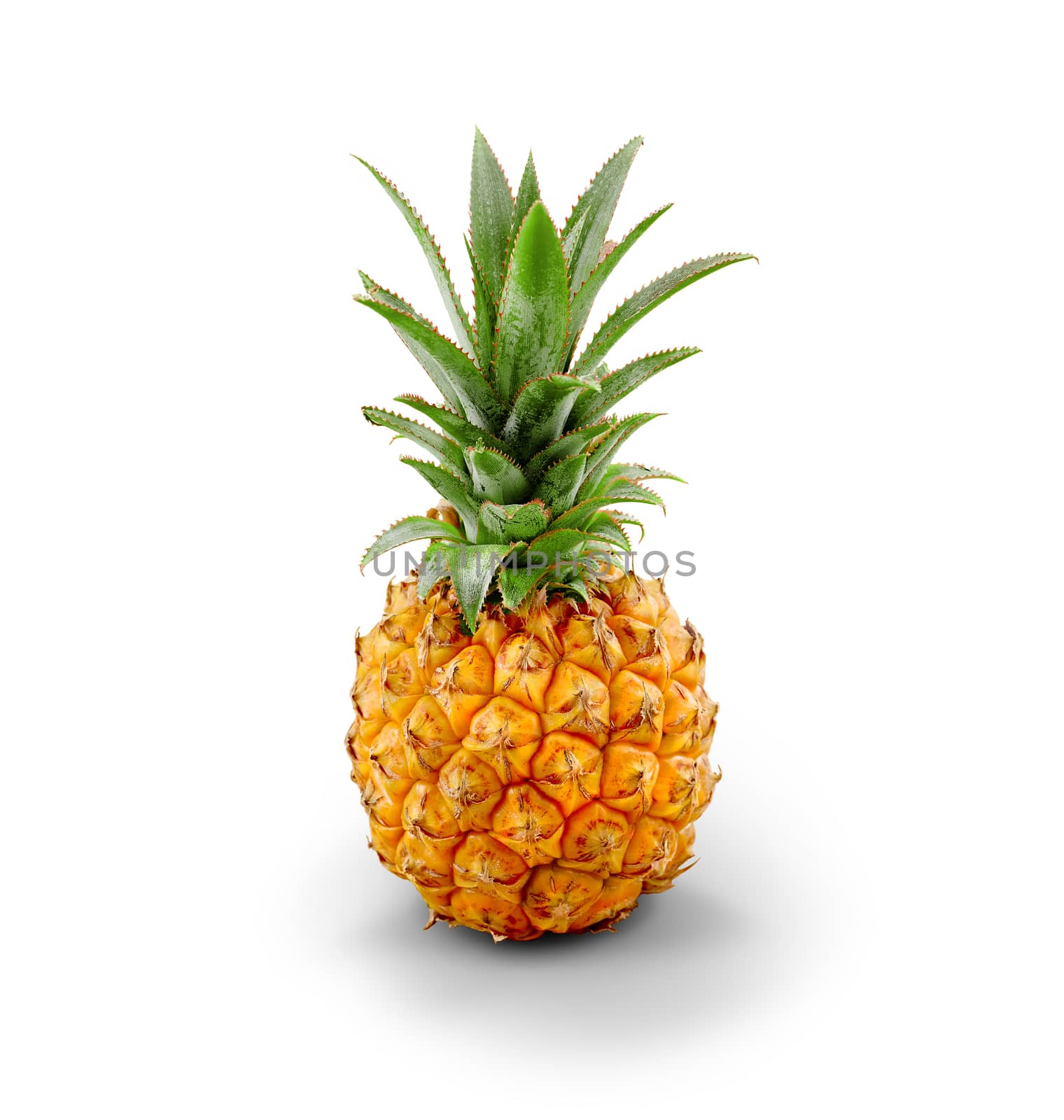 Young Pineapple - isolated by aa-w