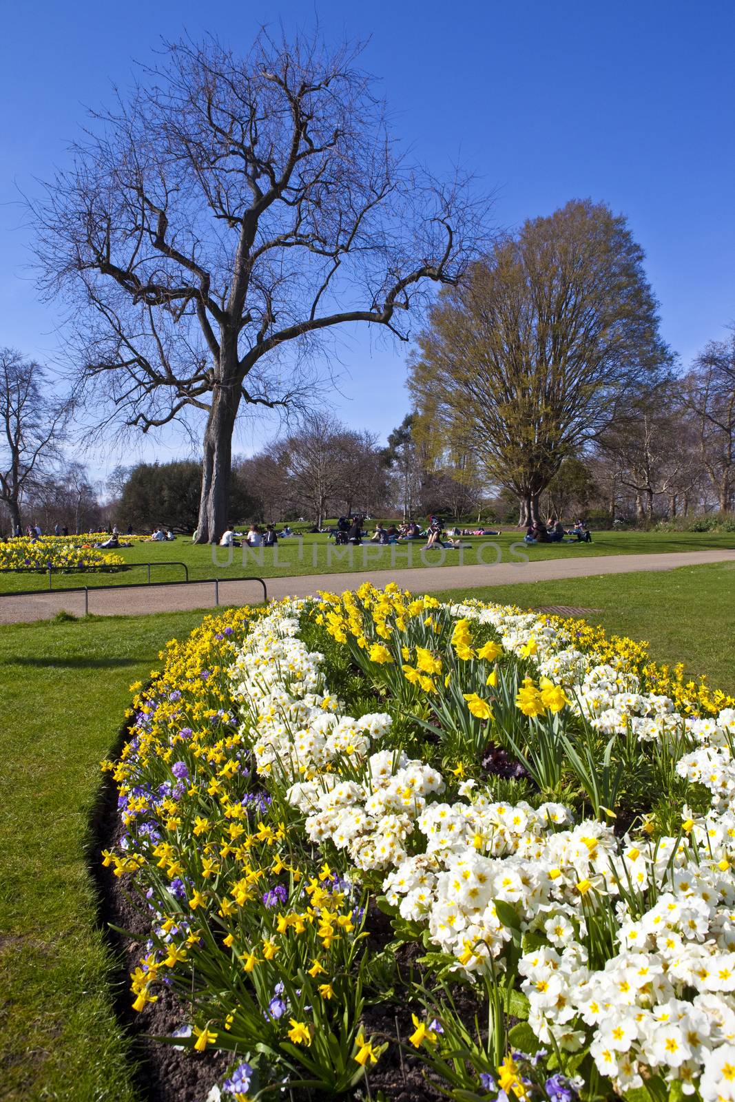 Hyde Park in London by chrisdorney