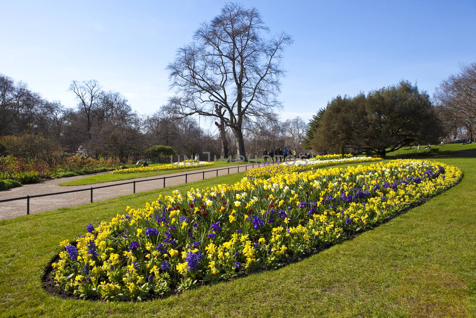 Hyde Park in London by chrisdorney