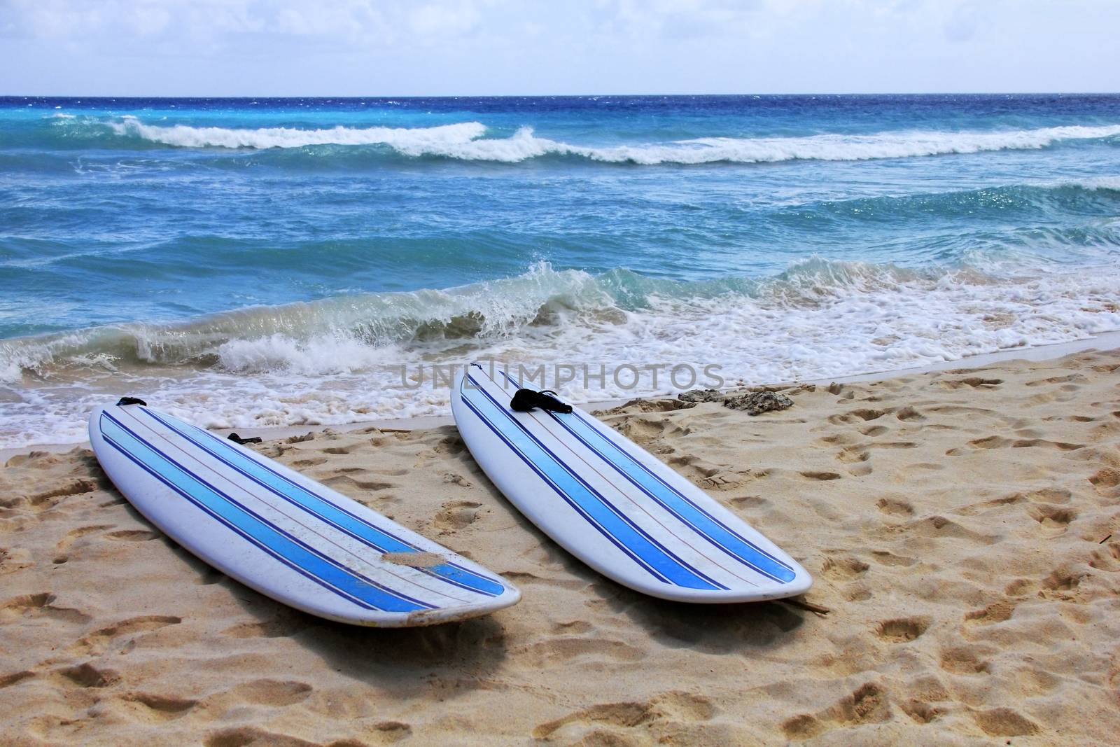 Surfboards at Dover beach on island Barbados on sandy shore by ocean