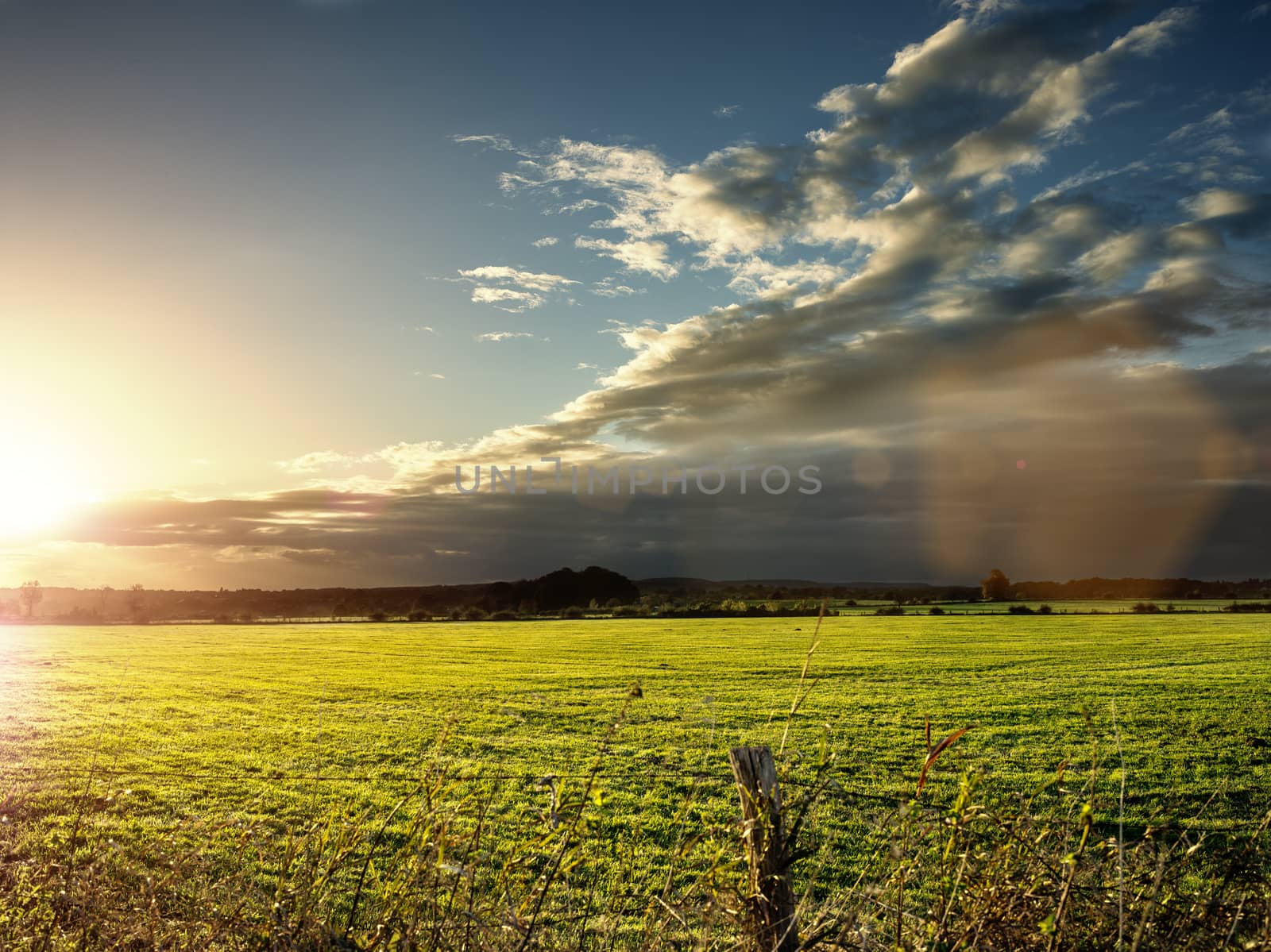 Field of grass on a sunny autumn or spring day. Backlite shot with nice lens flare