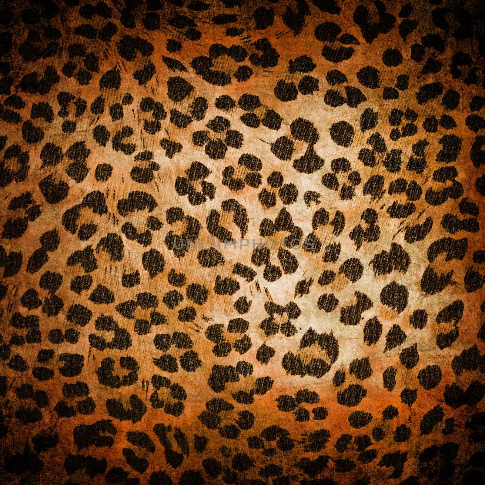 Wild animal pattern background or texture close up