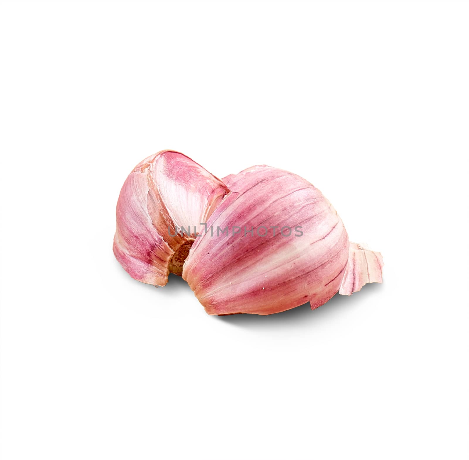 Fresh young garlic, professional isolated on white background - with clipping path