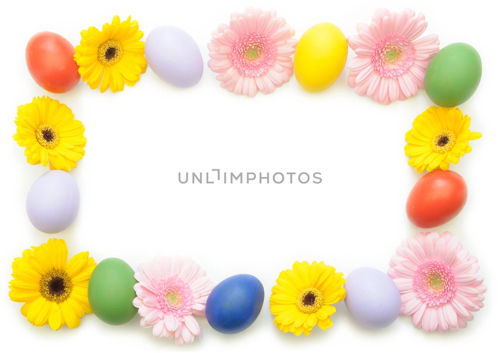 Frame composition comprising of painted easter eggs and spring daisies over a whtie background 