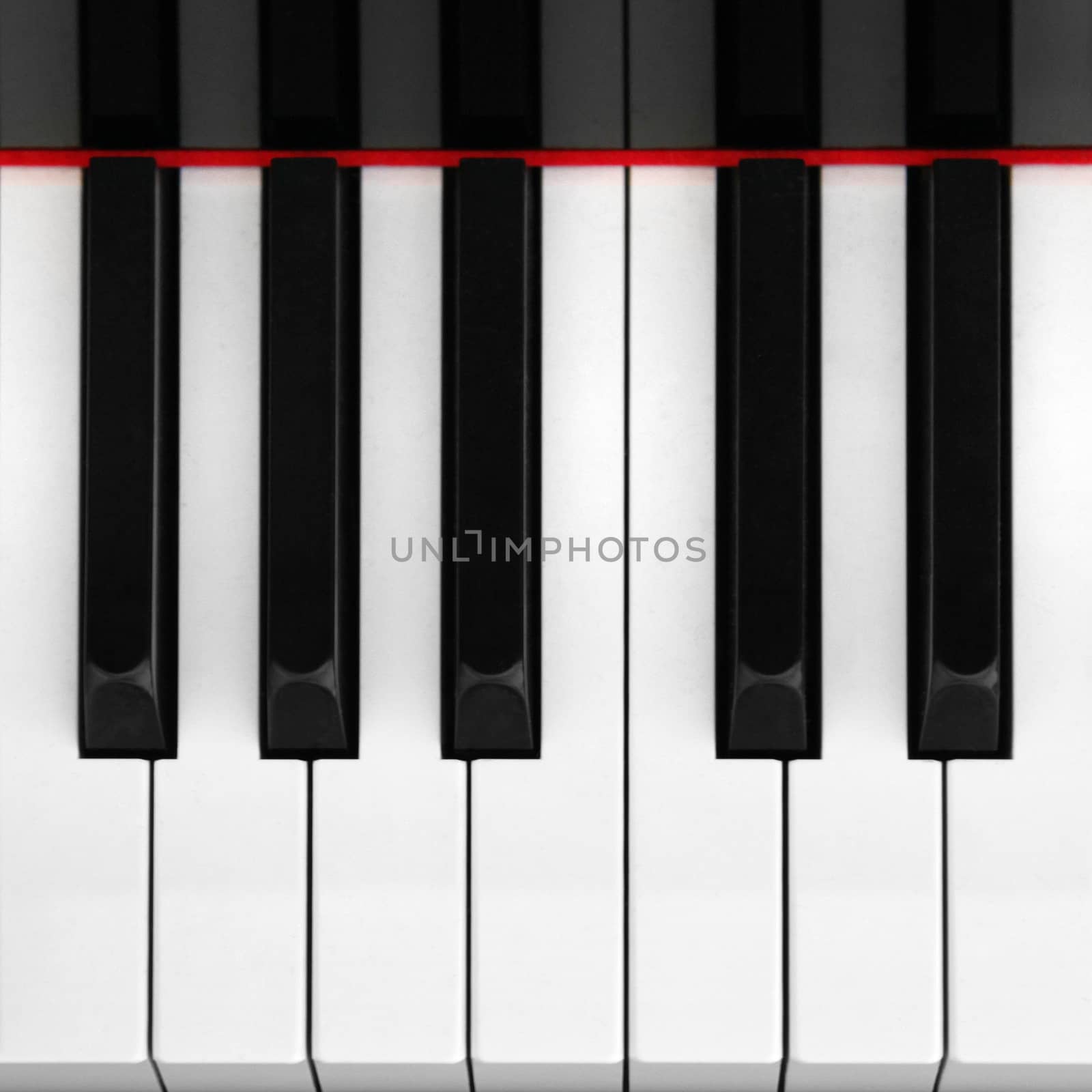 Closeup of piano key in black and white